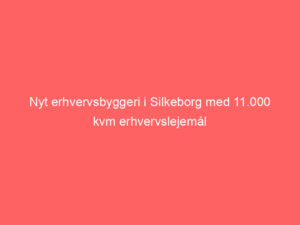 Read more about the article Nyt erhvervsbyggeri i Silkeborg med 11.000 kvm erhvervslejemål