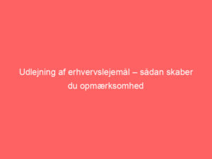 Read more about the article Udlejning af erhvervslejemål – sådan skaber du opmærksomhed